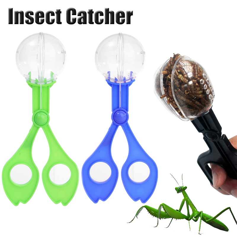 Kids Outdoor Adventure Insect  - Kids Outdoor Tools ulasan dan harga